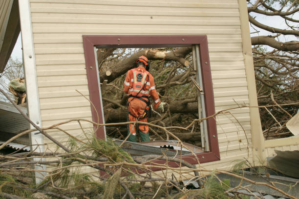 Best Fruit Tree Pruning  in Horizon City, TX